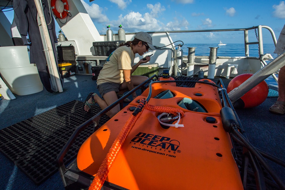 deep_ocean_inc's tweet photo. ROVs have changed the Underwater game - Revolutionizing exploration, operations, data collection, and maintenance tasks. Contact us at - https://t.co/IyCGVl3qFR
#DOE #ROV #UnderwaterExploration #ImprovedSafety #ExemplaryPerformance https://t.co/VUj7kmTAJE