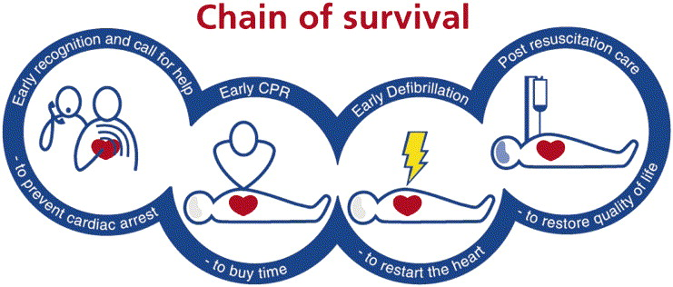 Today #whataspp collapsed again. If he was a cardiac arrest patient, we would CHECK, CALL, COMPRESS. Remember the chain of survival and BLS 🙌 ERC guideline 👉 cprguidelines.eu