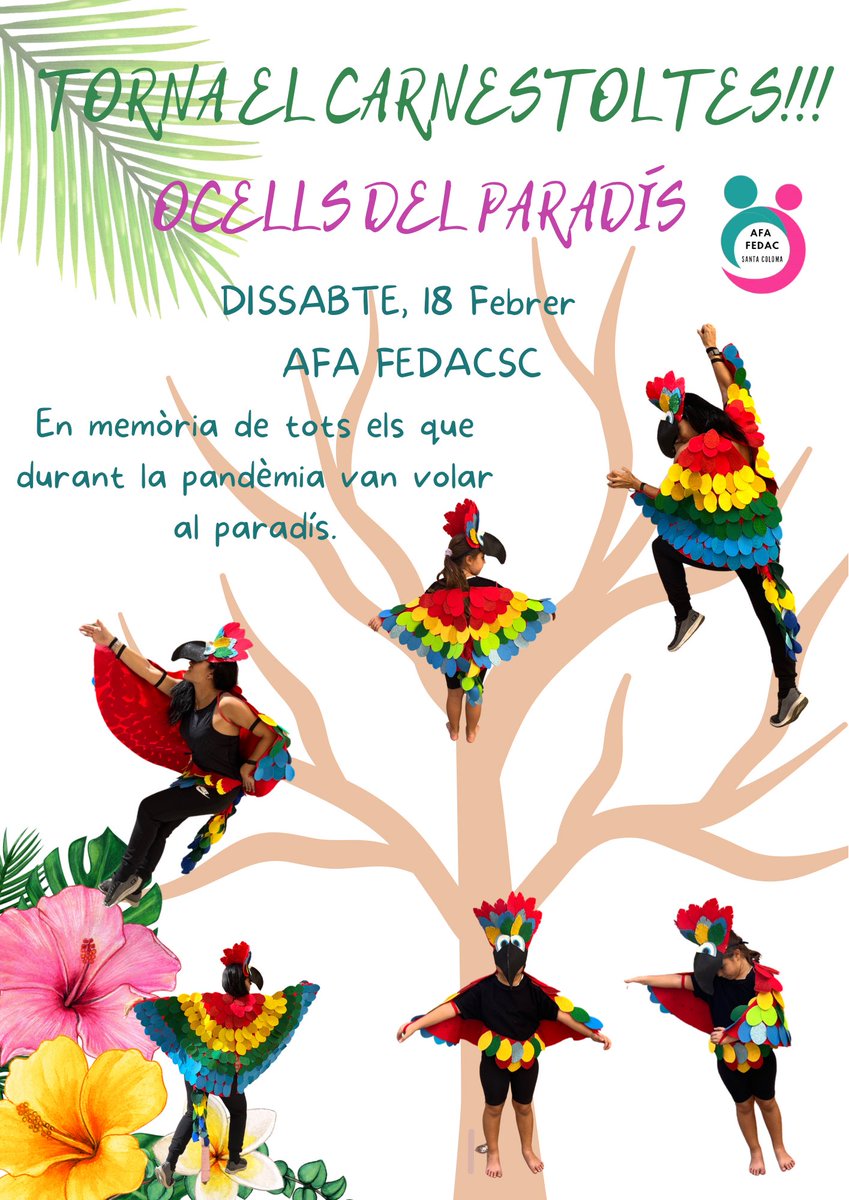 AFA FEDAC SC tweet media