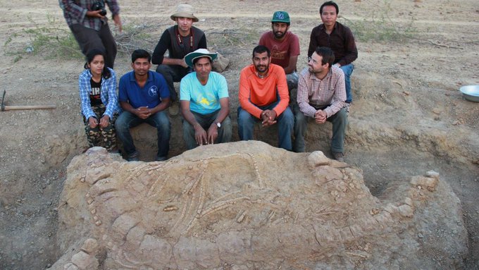 Geology_History's tweet photo. October 25, 2017, the discovery of the first fossil of a ichthyosaur (marine reptile, 152 million years old) found in India announced 🐬 
https://t.co/GYqb1CzVrR https://t.co/NrO5lxcIOC