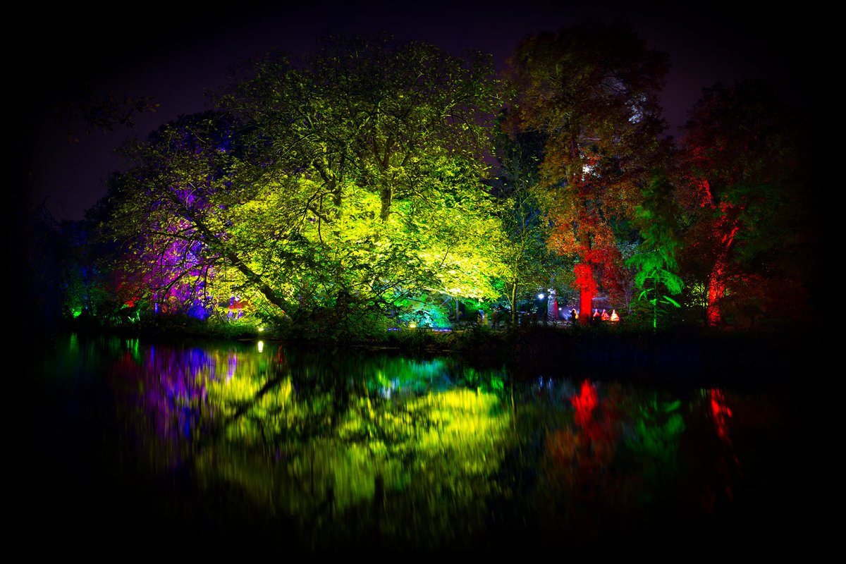 Have you purchased your tickets to the Enchanted Woodland?

For three weekends only this November, don't miss your chance and get your tickets before it's too late > fal.cn/3t1H0

#SyonPark #EnchantedWoodland #thingstodoinlondon #london