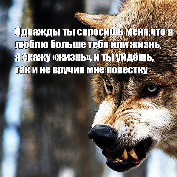 🐺Пацанские мемы против мобилизации Пропаганда запускает вирусный контент в поддержку войны и мобилизации, продвигая миф, что «быть мужчиной» – это убивать людей и умирать самому. Мы решили создать пацанские мемы, которые могут поспорить с такой концепцией мужественности