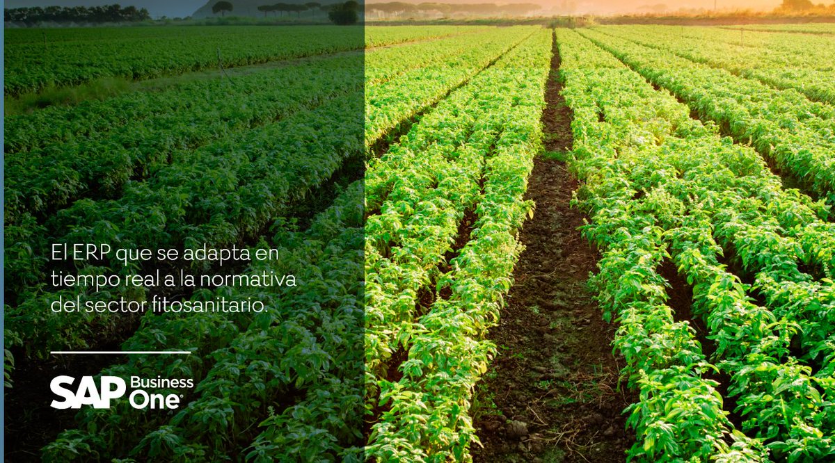 novotic's tweet photo. 🔽 ¿Cómo conseguir una visión global de tu empresa? 🔽

Con el software de gestión Fitosanitarios y Cultivos para SAP Business One.
 
⭐ Innovador, eficiente y de fácil manejo
🕐 Rápido, automático y gestión integral

https://t.co/zcFk1NbP6X 

#DigitalizaciónReal https://t.co/M8FTxFl9Qm
