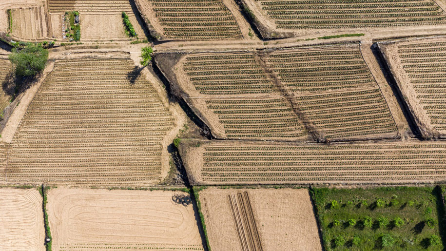 🌳LIFE AgriAdapt desarrolla una nueva #app para identificar cómo la crisis climática puede afectar a un #cultivo 📌En el #proyecto también han participado @FGlobalNature y @CopernicusEU 👉euroganaderia.eu/ganaderia/mas-…