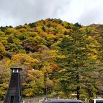 ツイートに含まれる画像