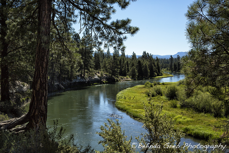 BelindaGreb's tweet image. Lazy River - Deschutes Riverhttp://rdbl.co/2vAsadb Oregon Landscape Photography by Belinda Greb
#naturephotography