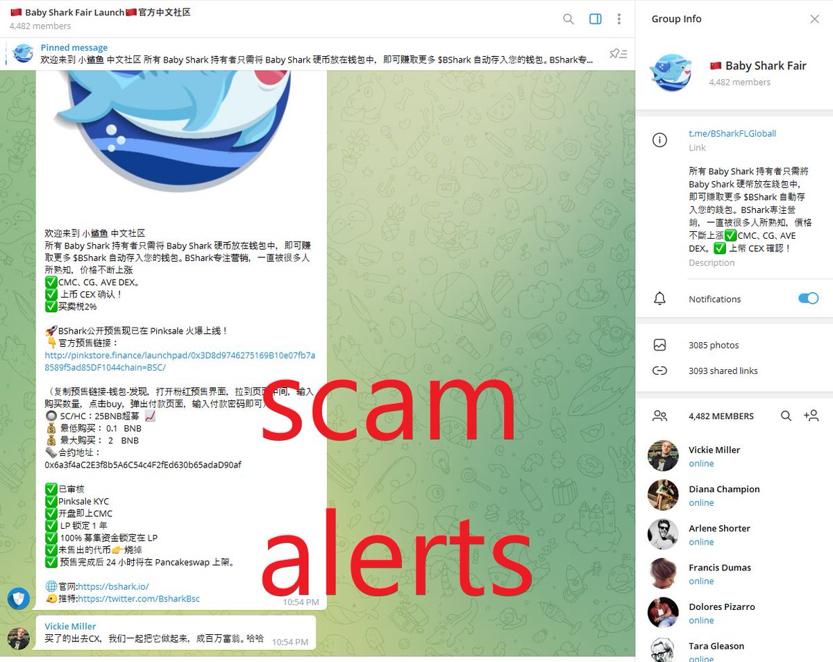 BShark.BSC tweet media