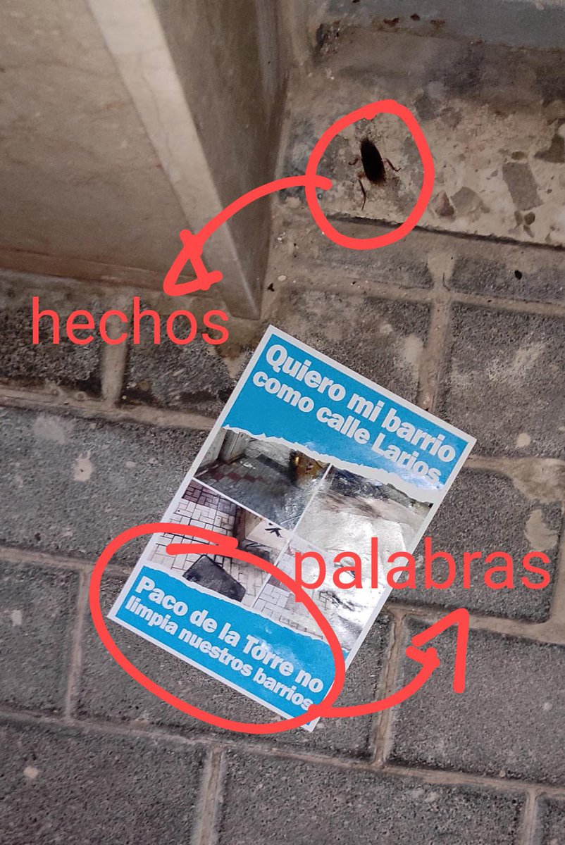 AscoMalaga's tweet photo. Paco De la Torre no limpia nuestros barrios #Malaga https://t.co/BzL7ZCdqQQ