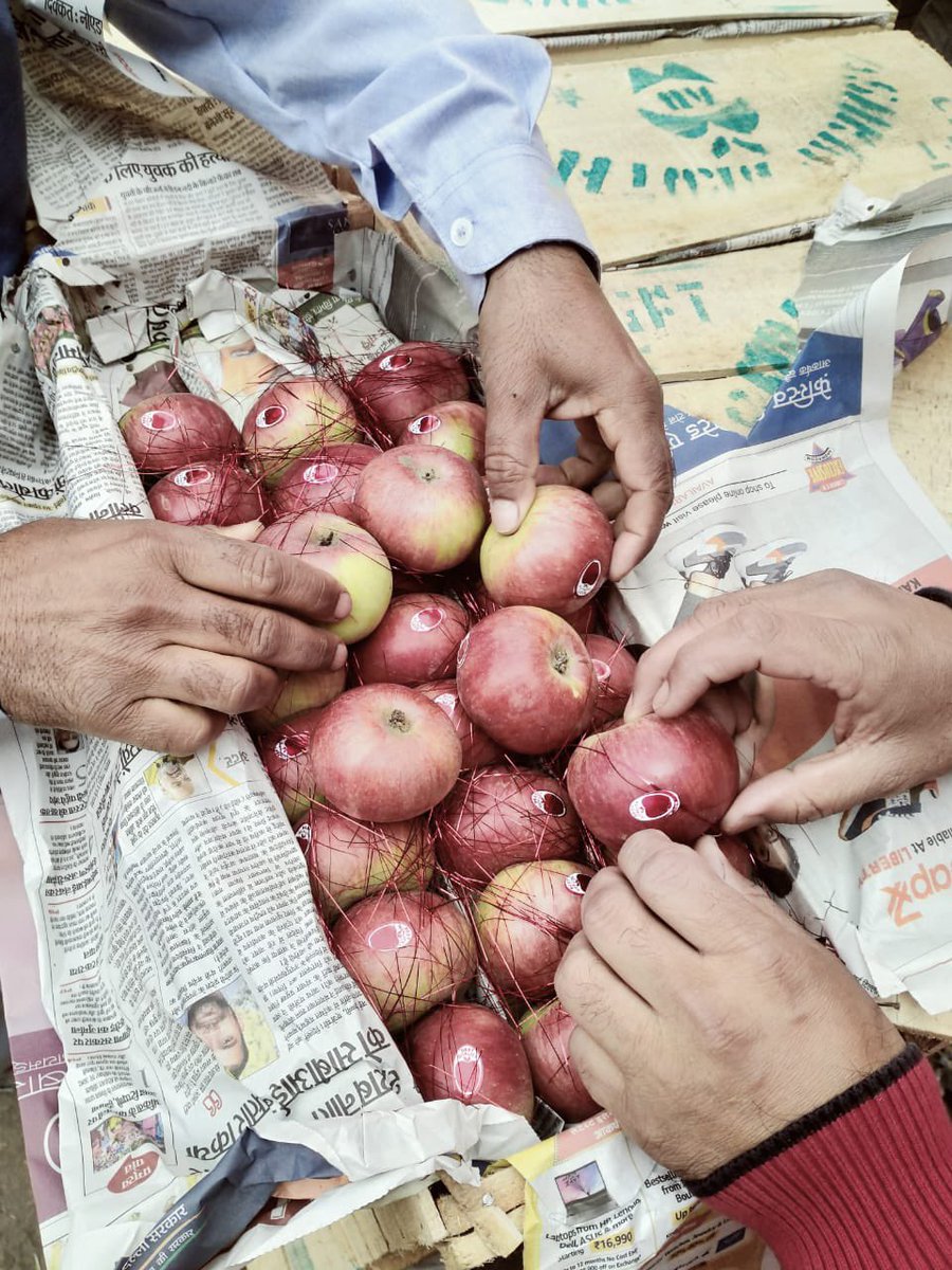 sfacindia's tweet photo. Best #apples are on #eNAM 
Inter State Trade from #Parimpora #J&amp;K to #Dhanbad Jharkhand- from #farmtofork, fair prices for #farmer and buyer both- it’s the best market place #agribusiness #digitalIndia #healthy #nutrition @ShobhaBJP @KailashBaytu @nstomar @mygovindia https://t.co/kNlHmXKbaU