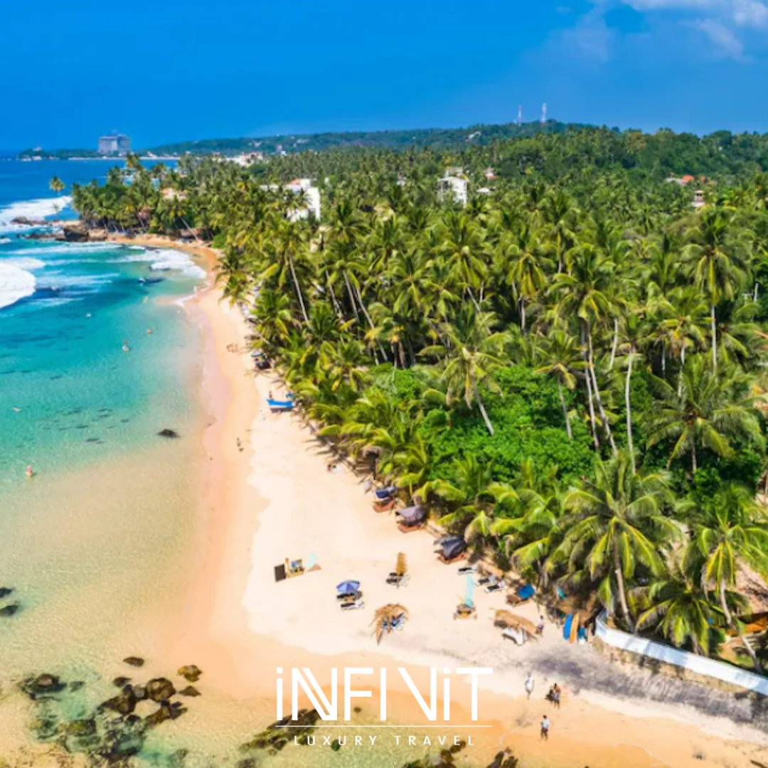 Infinit_Luxury's tweet photo. Experience the hidden treasures, mysteries and beauty of the beaches of Sri Lanka
Learn more https://t.co/GxOXFfCl0N
#beaches #beach #beachlife  #trip #familyholiday #holidayfun #summerholiday #summer #tropical #tropicalholiday #travel2023 https://t.co/qddUs9ZioX