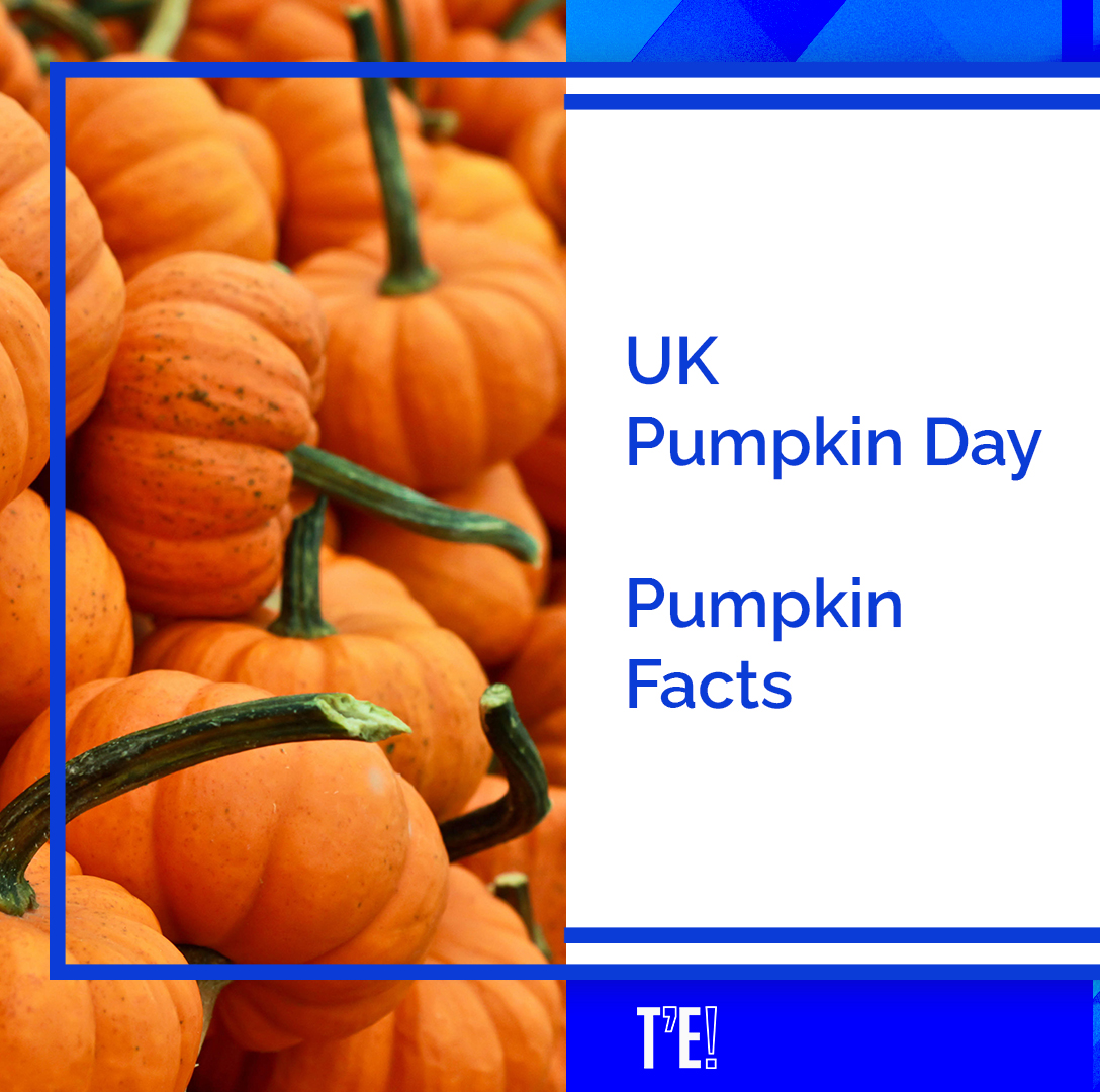 thatsenglish's tweet photo. 🎃It’s the UK’s National Pumpkin Day! A favourite for autumn and packed with nutrition. Let’s find out why they are so great!

🎃Es el Día Nacional de la Calabaza en el Reino Unido. Un favorito del otoño y repleto de nutrientes. Descubramos por qué son tan buenas.

#english https://t.co/oPdoFgUhuN