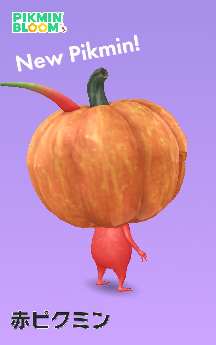 BlueSR400's tweet image. ＃ピクミンブルーム
赤ピクミンが来てくれたので  
お化けカボチャ🎃コンプリートしました‼️

シャッターチャンスに背を向けるマヌケな赤いヤツ(笑笑 )