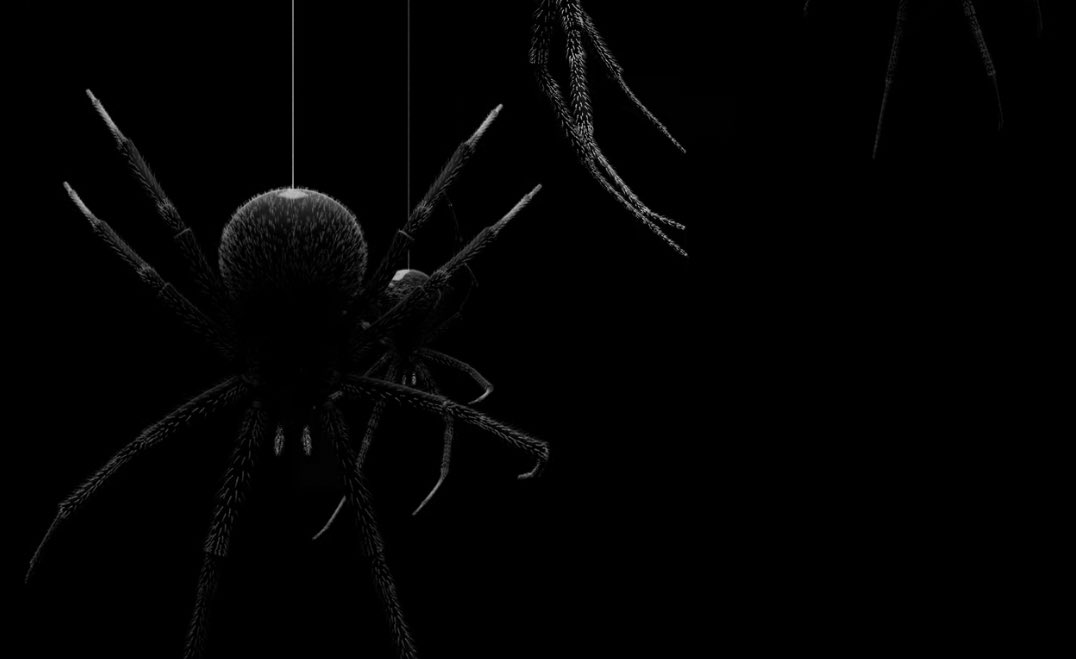 SvddenRezzbian's tweet photo. Ok but the way the spiders crawling down at the top of the screen literally look like skeleton hands ???!!! Idk if this was intentional or not but this is IMMACULATE 🕷🩻 #NORS2 https://t.co/HOrnNvP0Qo