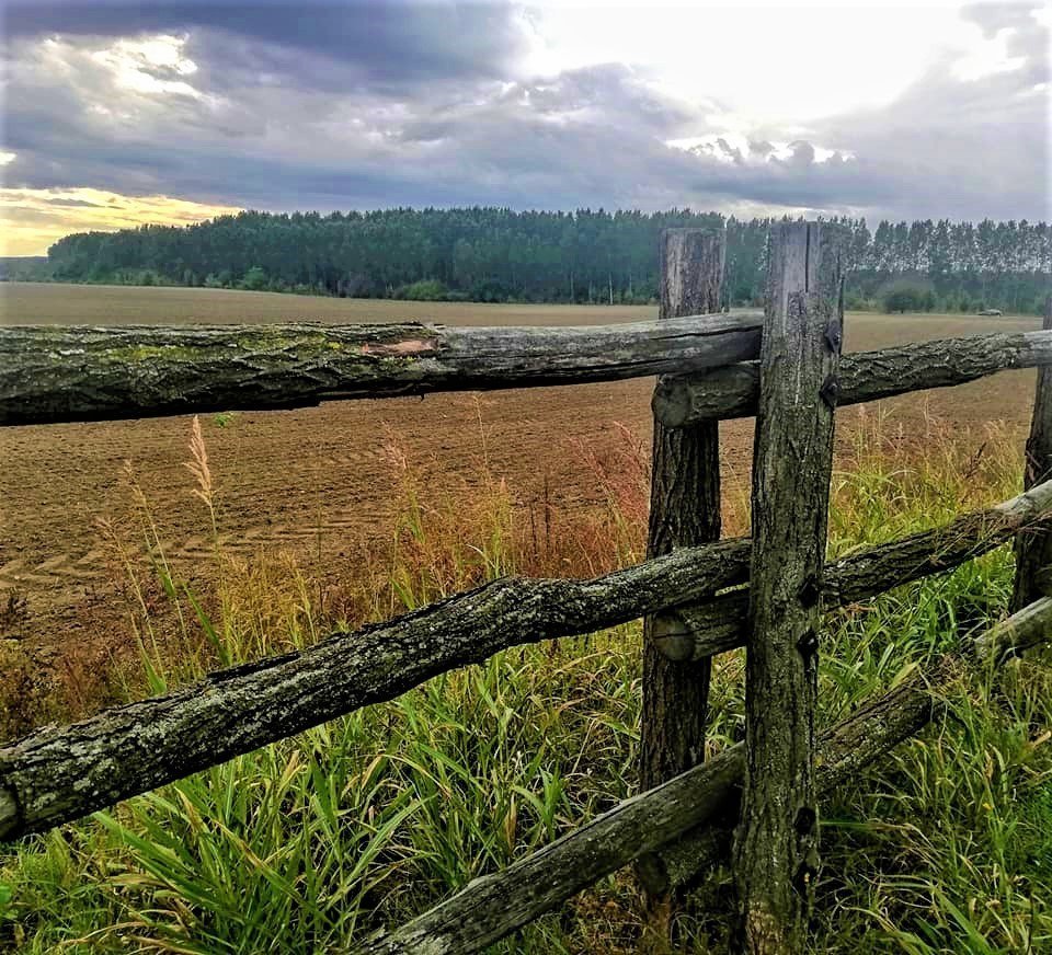 Djurdja On Twitter Jutro Https T Co Syundazy7a Twitter