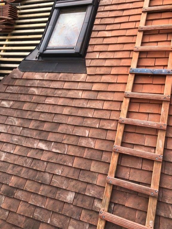 VitetCouverture's tweet photo. travaux de couverture en tuile plate https://t.co/NWIubM2eyc