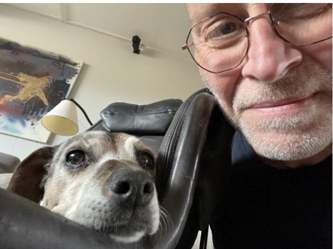 Är hunden arbetsplatsens bästa boost? Bäst att riskbedöma innan du tar med din hund… Nytt inlägg på vår #AMMblogg 🐶 #Arbetsliv #Arbetsmiljö #Hund arbetsochmiljomedicin.se/hunden-arbetsp…