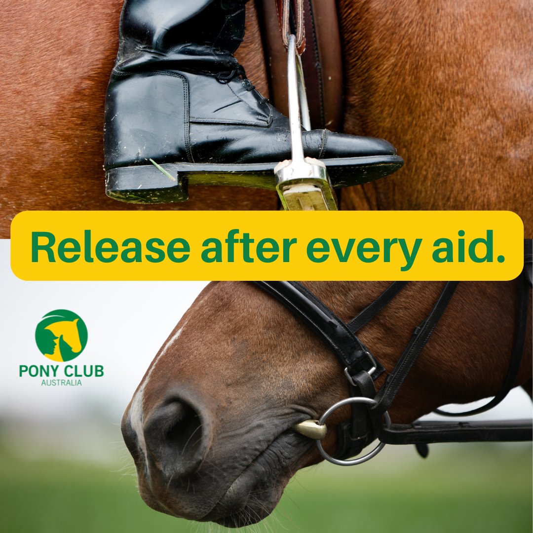 PonyClubAus's tweet photo. Remember to release after every aid. Releasing aids as soon as the horse gives the desired response is extremely important #lessismore #dontbeanag #dontbeadrag #stillness #quiethands #quietlegs #pauseforthought #reinon #reinoff #legon #legoff #seaton #seatoff #horse #training https://t.co/MZqYNMzGES