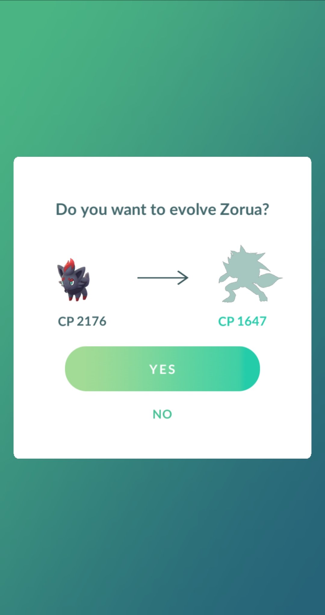 Astrid on Twitter "Zorua in spotlight hour, changed my buddy just in