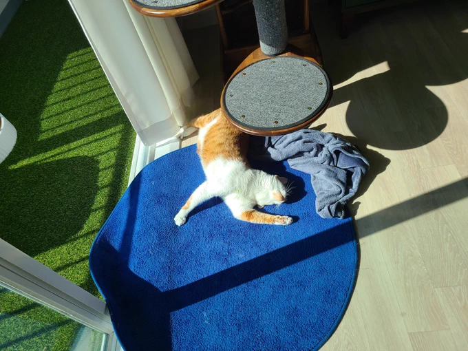 지인이 사진보고 그려줌. 넘 이쁘당 