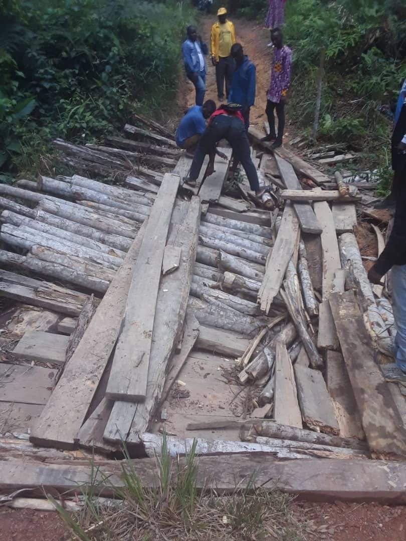 Africainlibr's tweet photo. 🇬🇦 #Clichés : Pont avant le village #boulembou 1er siège du département de l'Ogoulou/#Mimongo
@_CGRi https://t.co/ontQvKYWuK