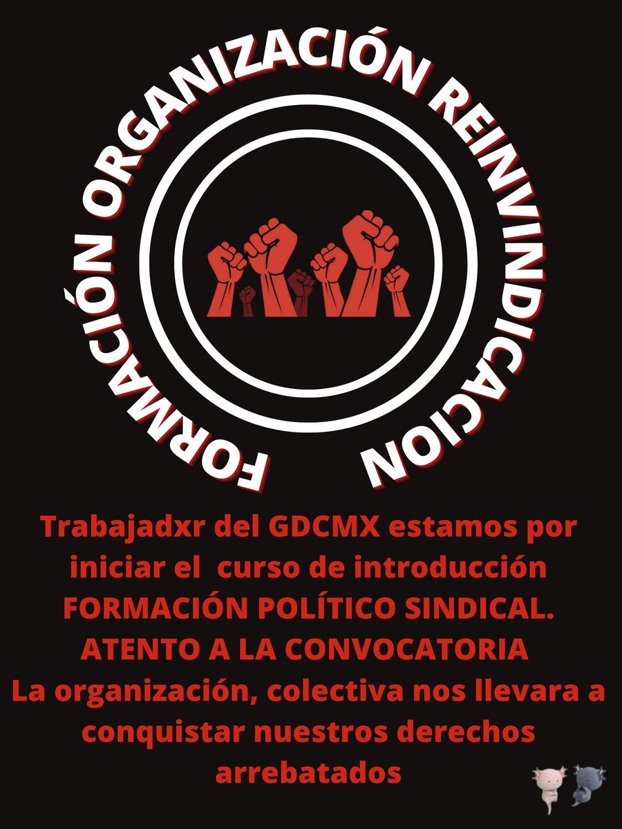469oficialmx's tweet photo. Esta semana iniciamos con un nuevo bloque de compañerxs que tomaran el curso 
"FORMACIÓN POLÍTICO SINDICAL".
Agradecemos el apoyo de nuestros compañeros de 
#cenpros 
#469organizado
#469enpiedelucha https://t.co/se7rLWOUH3