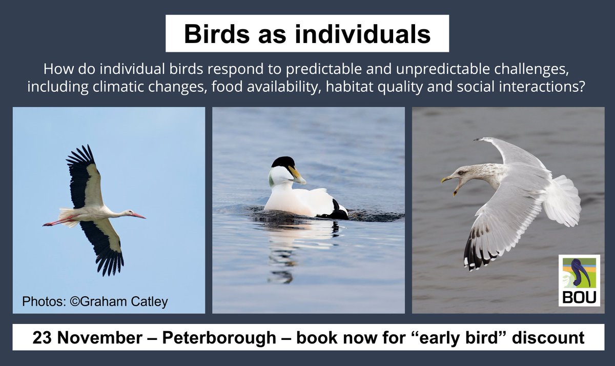 GrahamFAppleton's tweet photo. Why do birds do things?
Face-to-face meeting of ornithologists interested in bird #behaviour.
"Early bird" discounts until 8 Nov
Details: https://t.co/qPDfxcnhk8
#ornithology #BOUsci22 https://t.co/cKdnIYQwkn