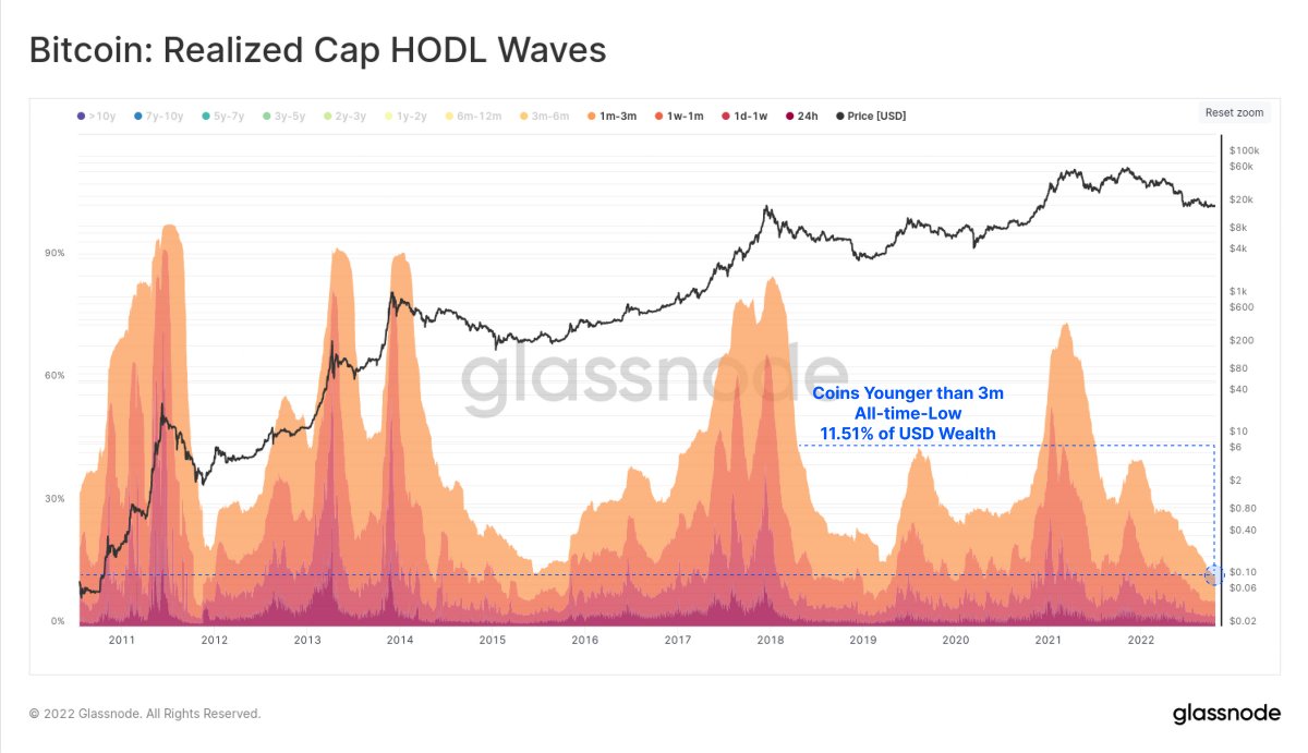 Bitcoin's tweet photo. "Despite prices having since sold off 56%+, from $40k down to sub-$18k, an industry wide deleveraging event, and historic global macro-economic turmoil, the LTH cohort added significantly to their holdings throughout this period." 💪 @glassnode https://t.co/2uWbIWkFGc