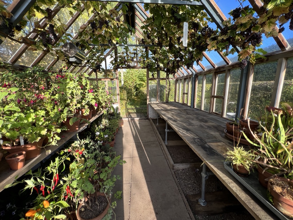 Monty Don tweet media