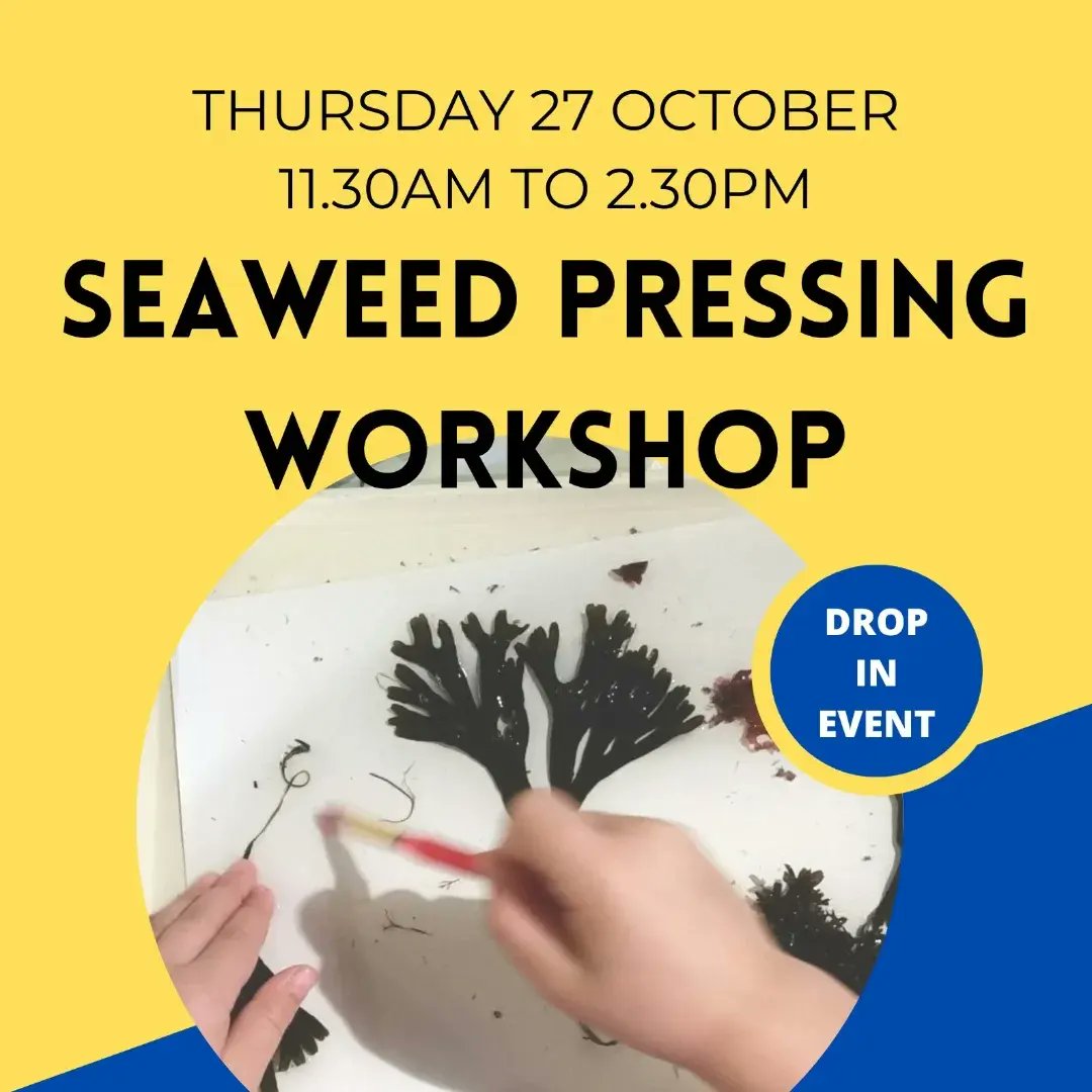 Half term fun at the museum.
Pirate Sessions - Wednesday 26 October (booking required)
Seaweed Pressing - Thursday 27 October (drop in)
#HerneBay #CommunityMuseum 
#HalfTermFun