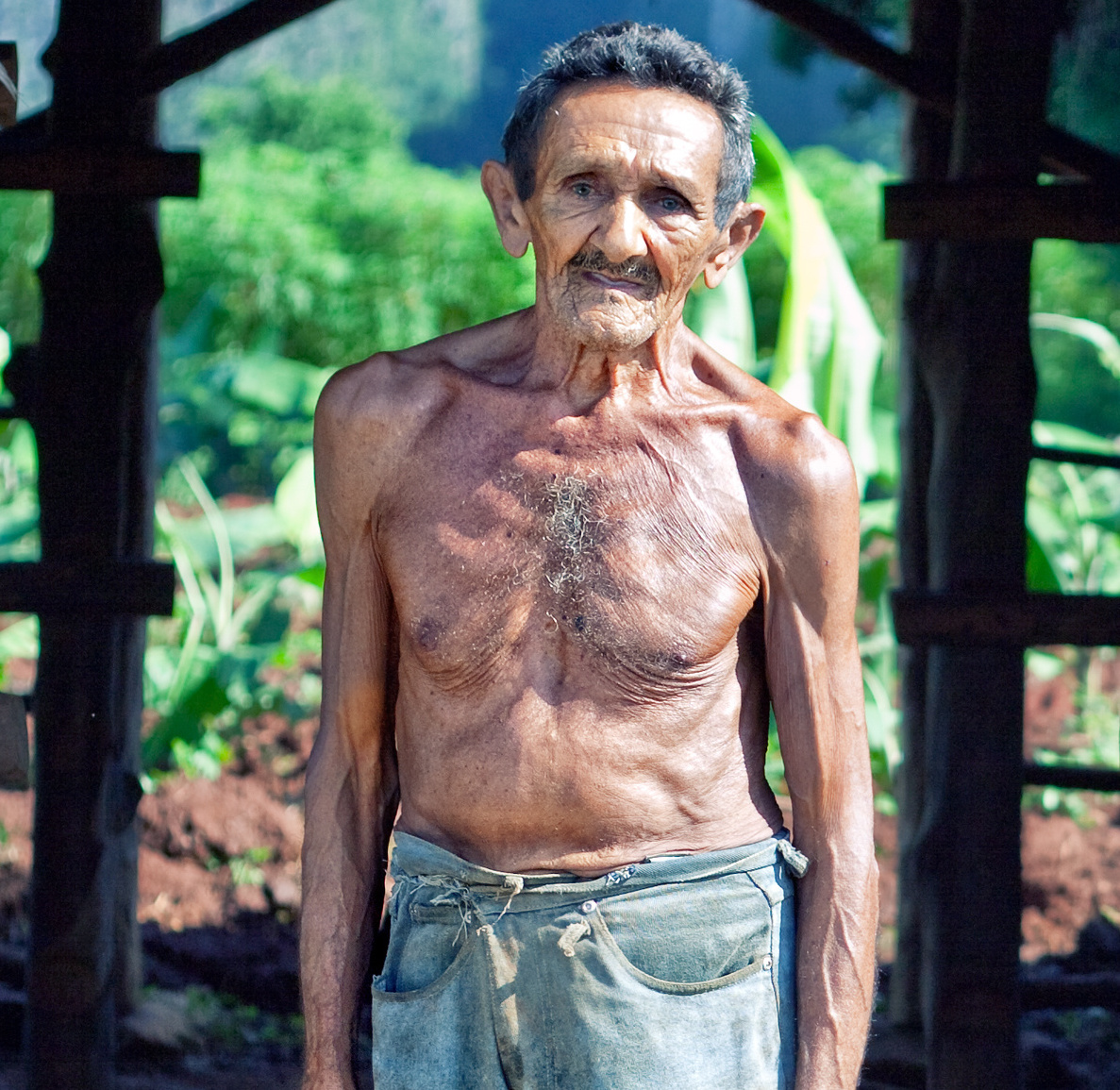 New report: PAHO and Cuba / Nuevo informe: OPS y Cuba - *|mailchi.mp/cubaarchive.or…|*