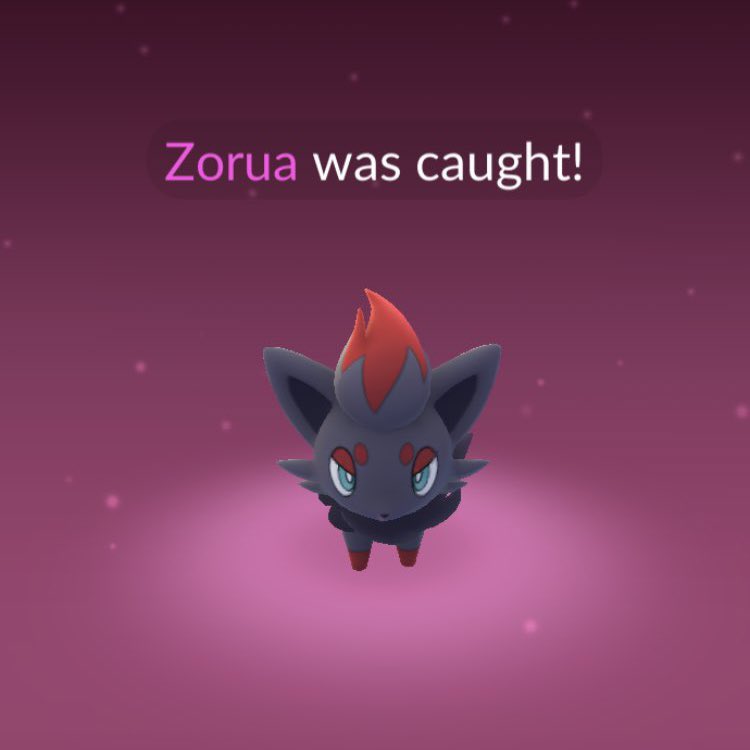The Silph Road on Twitter "We’re seeing reports of Zorua disguised as