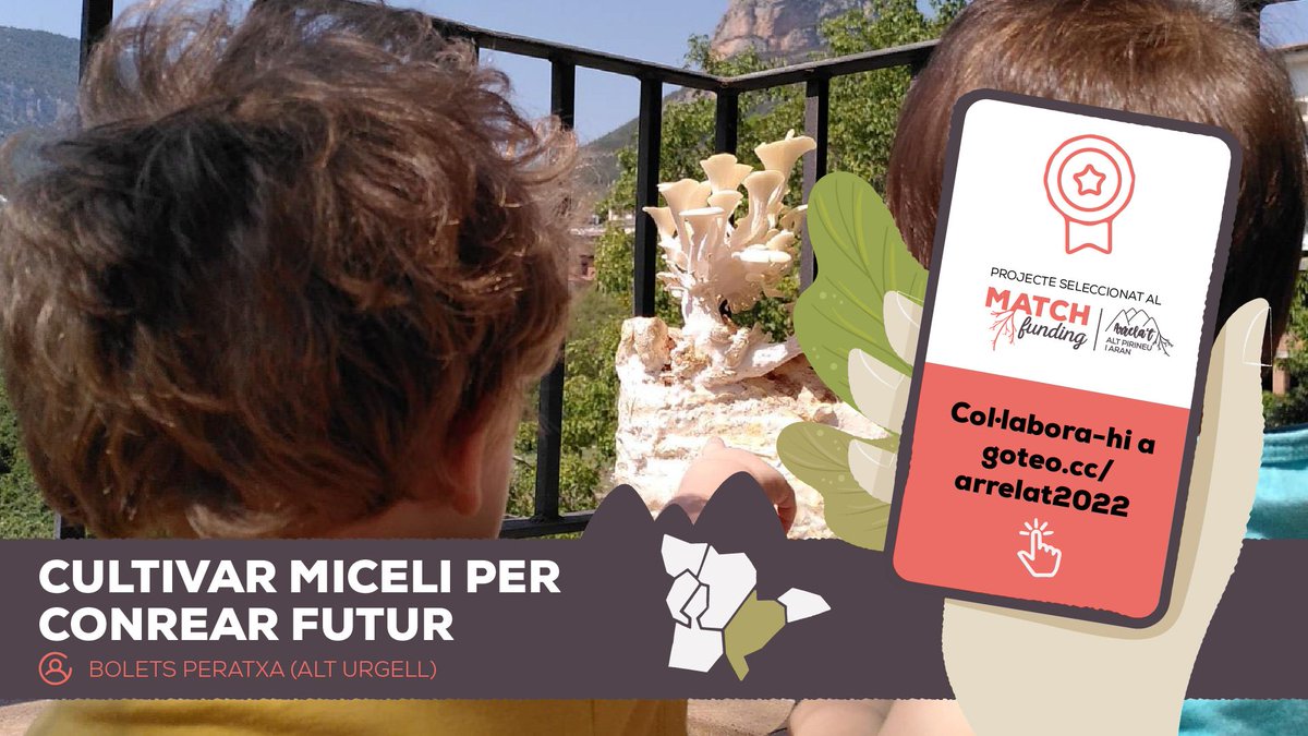 🍄 Bolets Peratxa és el projecte guanyador de l’Alt Urgell. És una iniciativa que cultivarà miceli de manera sostenible per a l’obtenció de bolets ecològics a Organyà. 

⚠️ Ja han superat l’import mínim! Els ajudeu arribar al seu import òptim? 👉🏻ca.goteo.org/channel/arrela…
