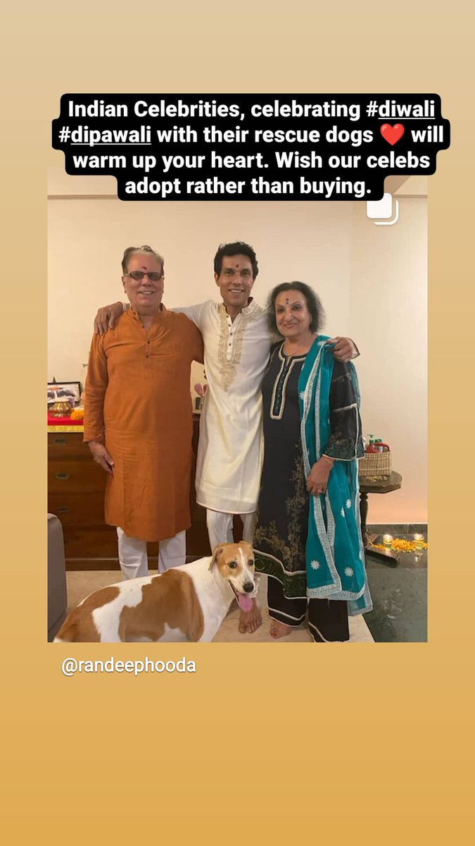 Ammu28707972's tweet photo. Indian Celebrities spending Diwali with their #rescudogs. It's amazing how #bollywood most famous celebs have adopted street dogs rather than buying. There is a huge list of Bollywood actors active in dog welfare unlike Pakistan and Lollywood. https://t.co/YBqBj58LU0