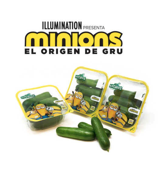 ¿Has visto ya nuestros pepinos snacks de tamaño baby?

Su tamaño varía entre aproximadamente 8 y 11 cm y su extraordinario sabor y textura lo convierten en un snack atractivo y saludable que no deja a nadie indiferente.

mycubies.com