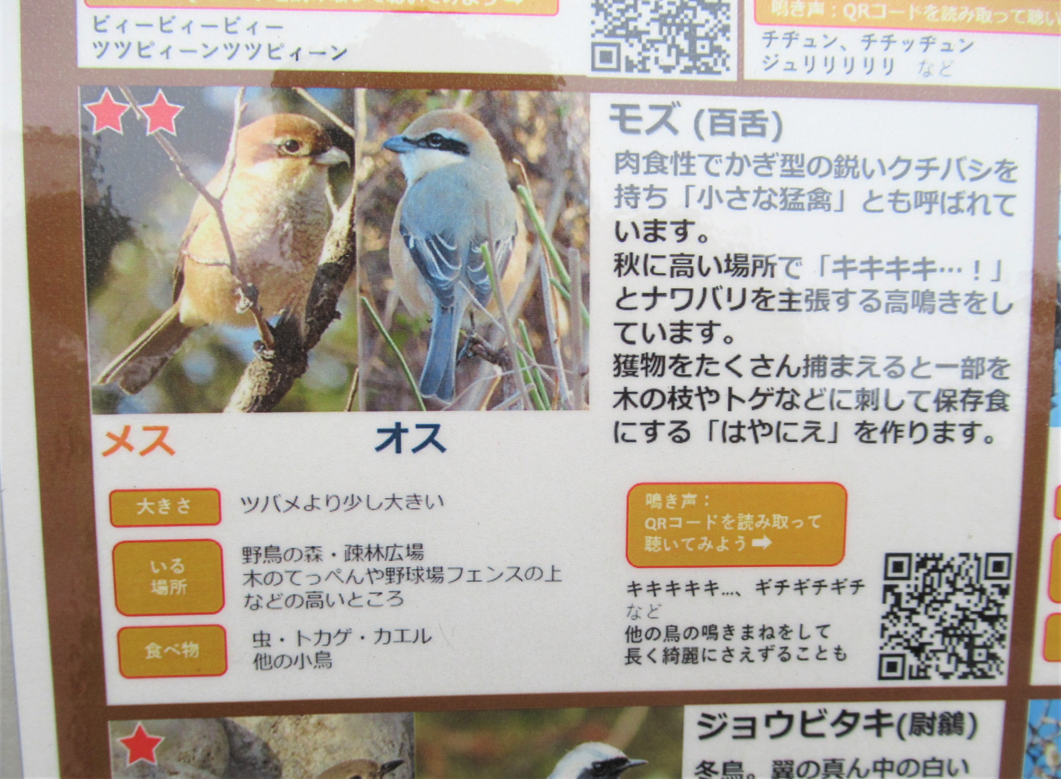 都立大泉中央公園 Parksooizumi Twitter