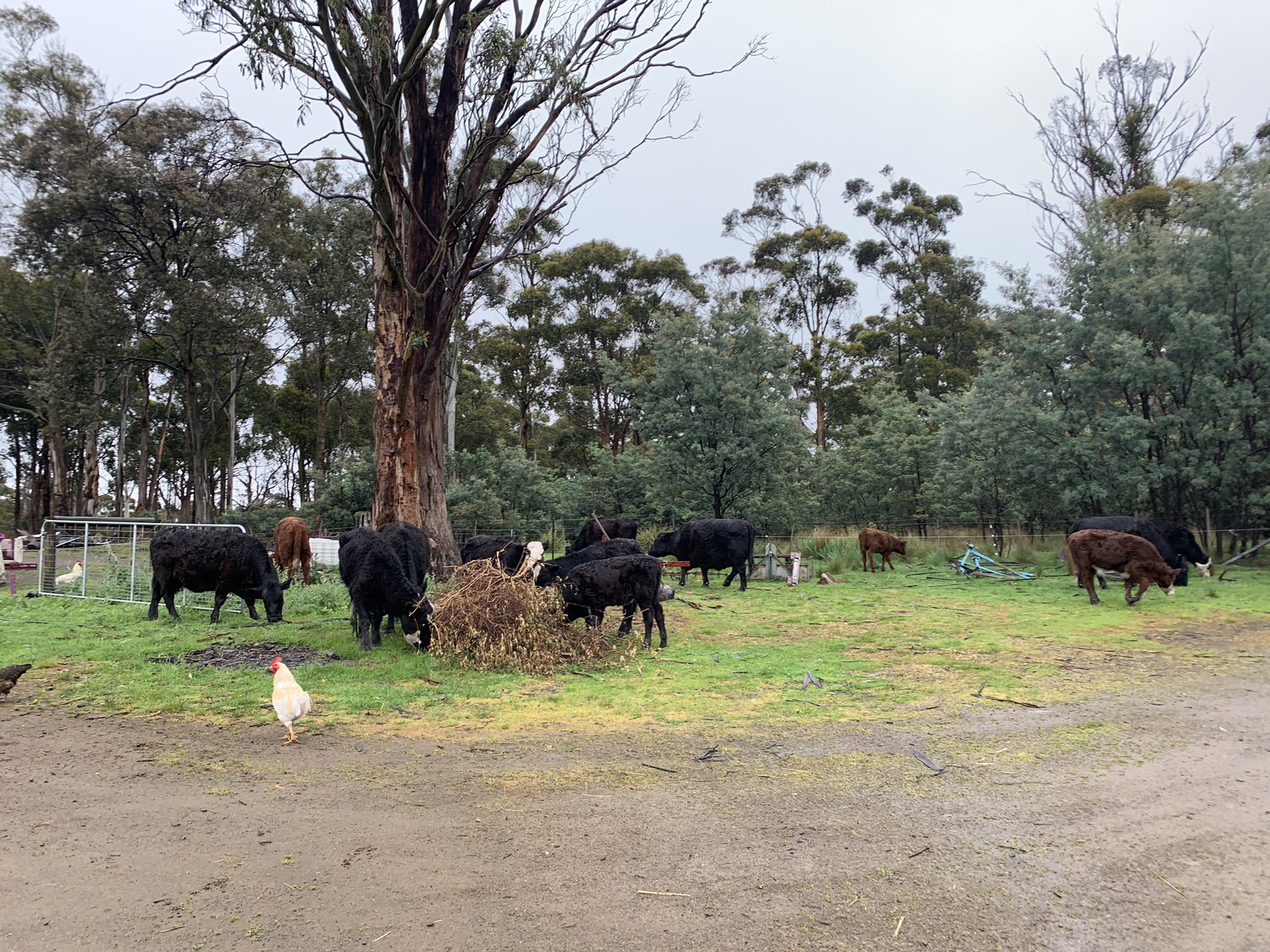 Frost Farms (frost_farms) / Twitter