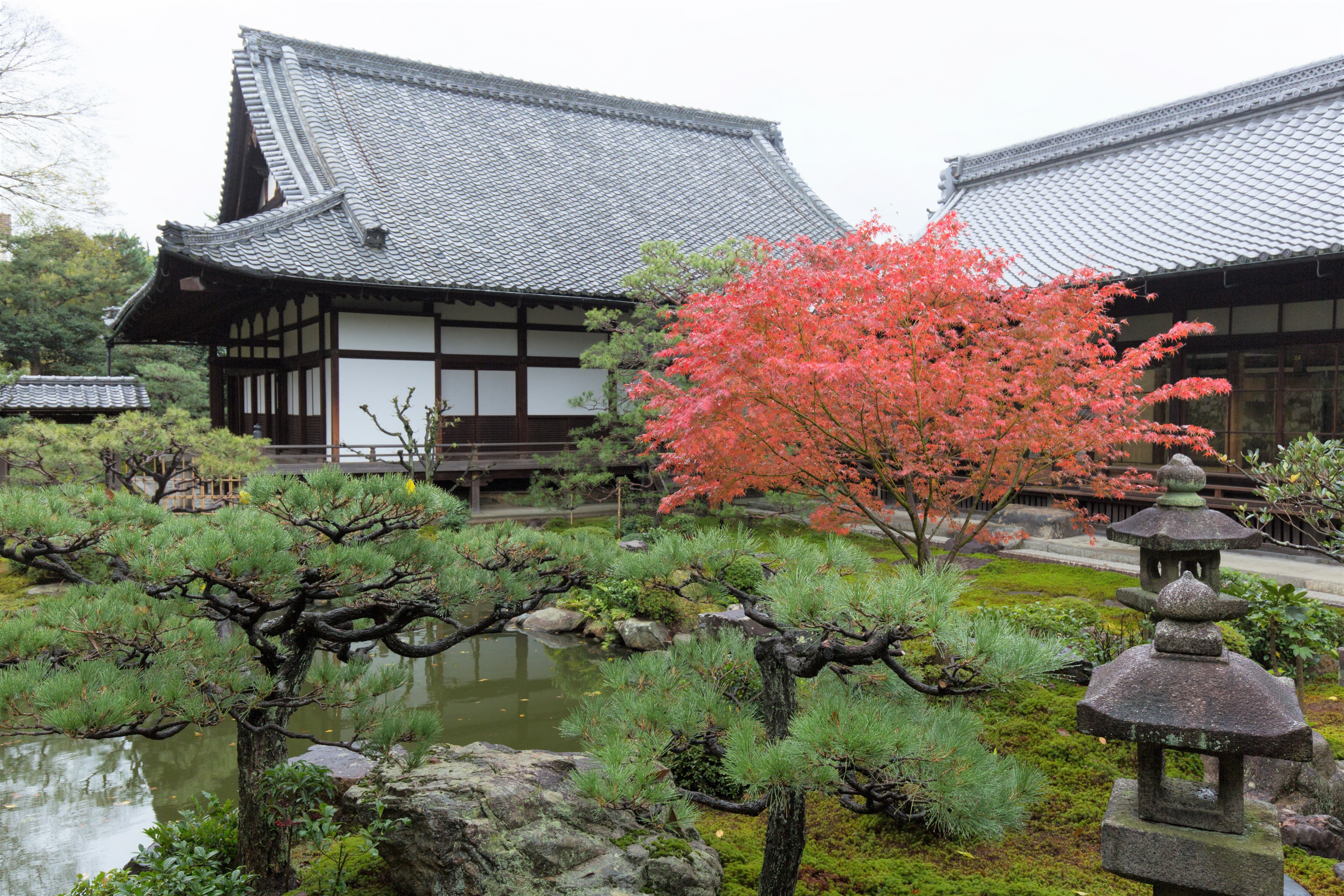 熱い販売 京都地学ガイド―現地に見る京都五億年の旅 新京都五億年の旅
