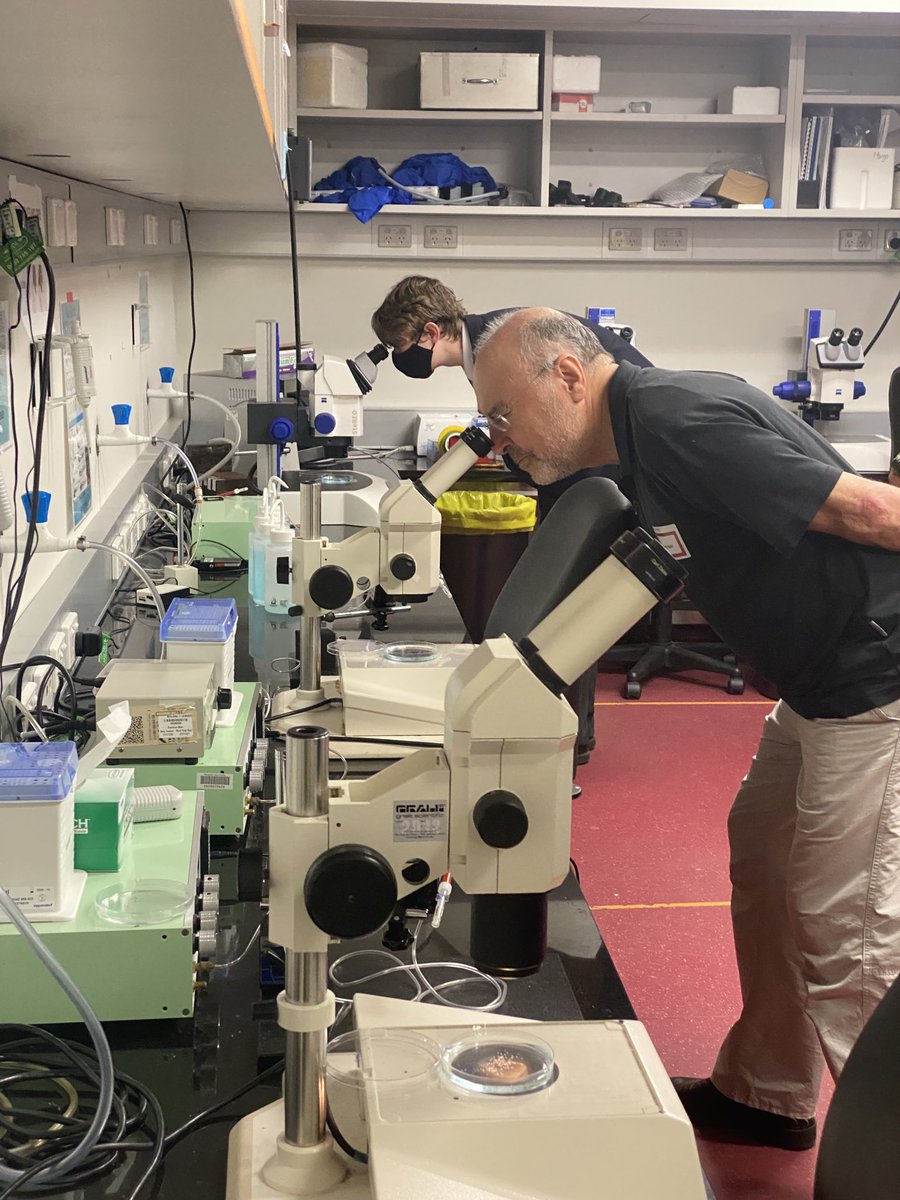 Visiting the phenotyping room at the aqua core facility ⁦@ARMI_Labs⁩ #openingthevault event..#scicomm