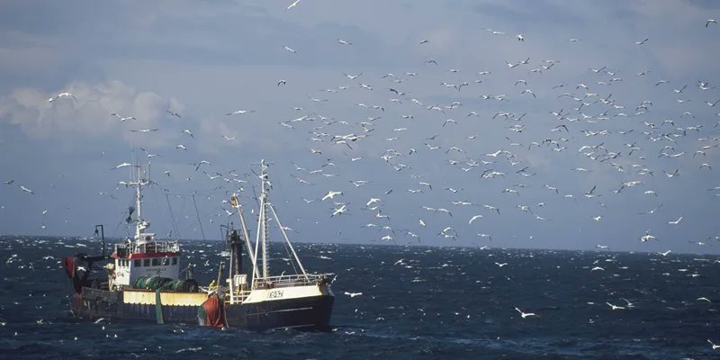 NEW JOB in #conservation and #ornithology to work with @BirdLifeMarine and inform global fisheries to reduce bycatch of #seabirds: buff.ly/3TJlP6s