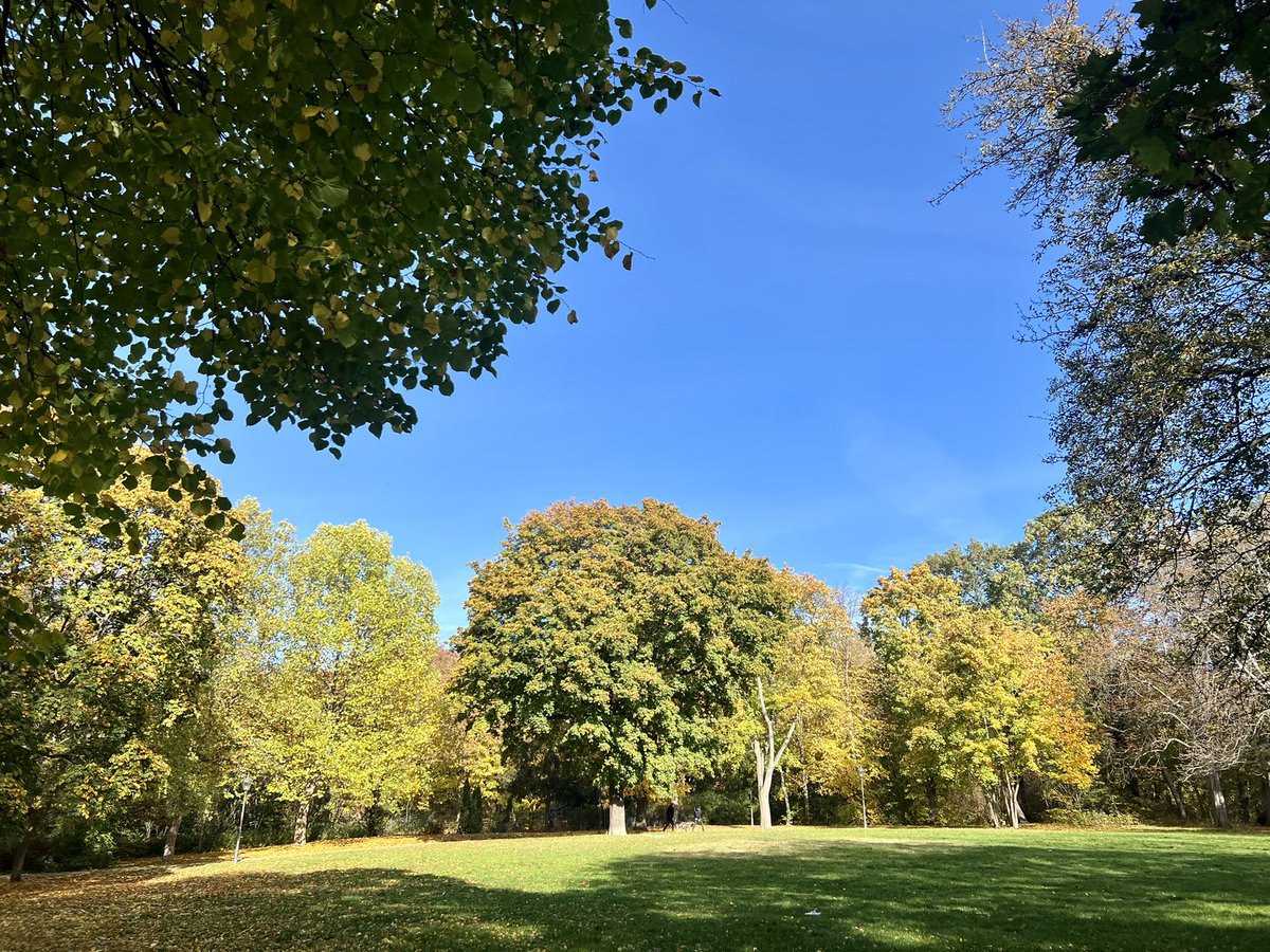 SeydaEmek's tweet photo. Autumn in Berlin. 🍁🍁🍁 https://t.co/TAdrbiIXrH