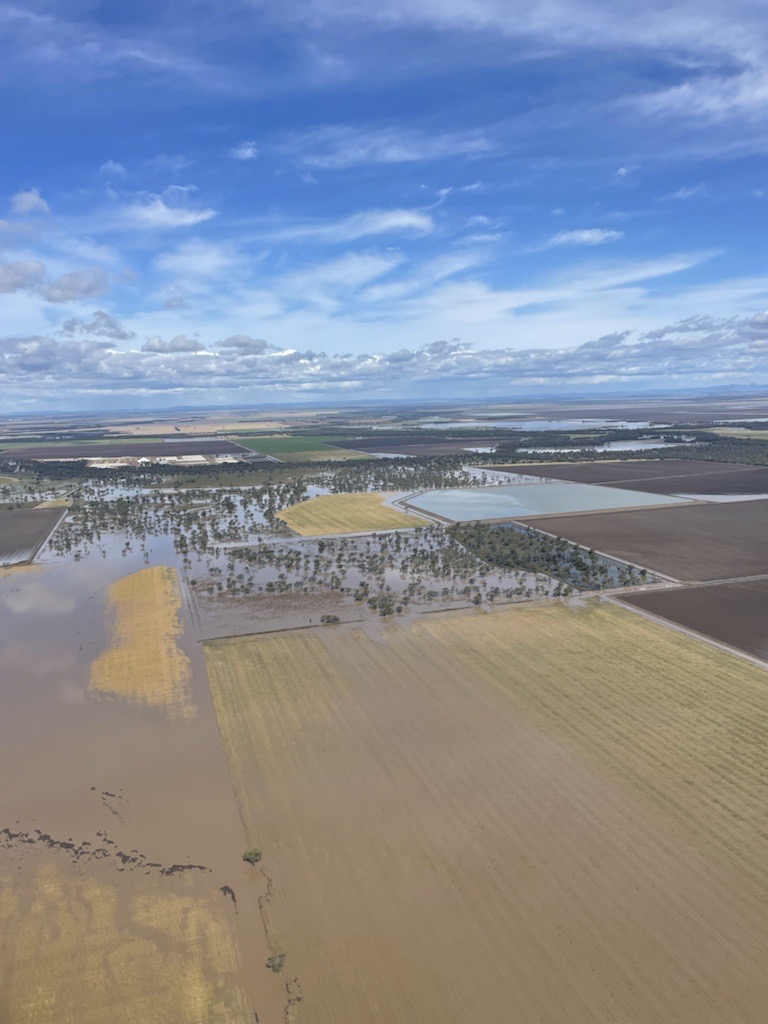 Thinking of growers facing crop losses in NSW and Vic due to flooding/high rainfall. Rural Australians are resilient, but these are tough times. Reach out if you need help: @beyondblue, @LifelineAust, @blackdoginst. Contact us if we can provide resources: media@grdc.com.au.