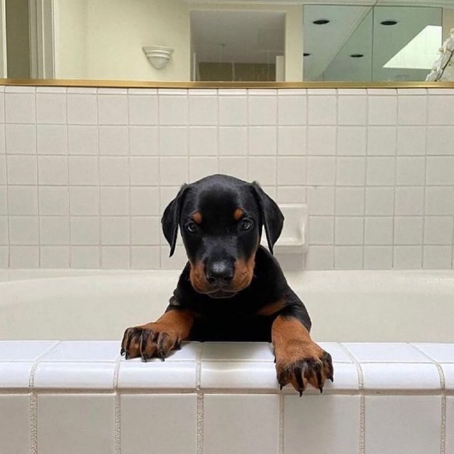 DRIP (@dript3r) on Twitter photo 