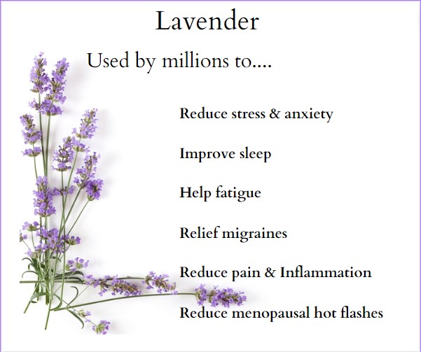 Lavender is not just for dogs!
People have used this powerful essential oil for hundreds of years
Our #Lavender is extremely popular all year round but especially now its #bonfire season
Give it a try to see how it can help you? Dont forget our Award22 code for 10% off your order