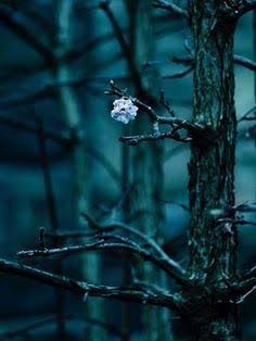 EXOrNationsPick's tweet photo. What is this colour exactly... i m trying to search it up but just can't find..
#첸 #CHEN #ChenScene2
#CHEN_사라지고있어_LastScene @weareoneEXO https://t.co/AgP6pCSTKF
