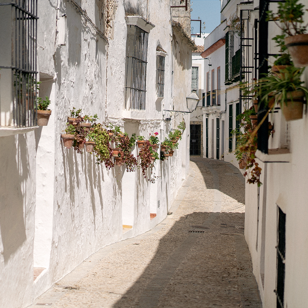 TurismodeArcos's tweet photo. La luz del otoño hace de Arcos de la Frontera un lugar más mágico aún. https://t.co/rolPamEdpY
