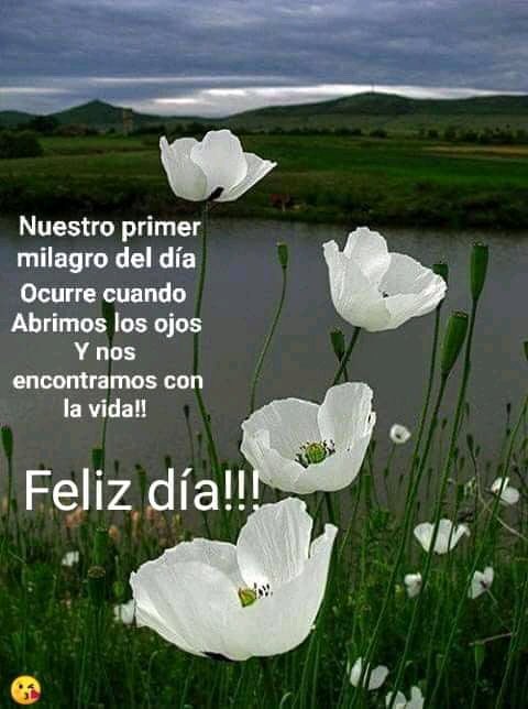 mabelaize012's tweet photo. #BuenosDias https://t.co/Rf4I2A7DaA