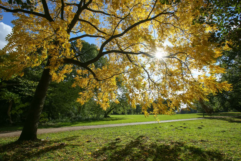 hamburg_de's tweet photo. Bunte Bäume im #Jenischpark oder Planten un Blomen entdecken, Spaziergänge im Sachsenwald, ein tierischer Ausflug oder Wellness - wir haben Ideen für den Ausflug in und um #Hamburg im Herbst für euch zusammengestellt: https://t.co/nbrDIX7jo9
Bild: IMAGO / Nitika https://t.co/MB4Ny1EK2T