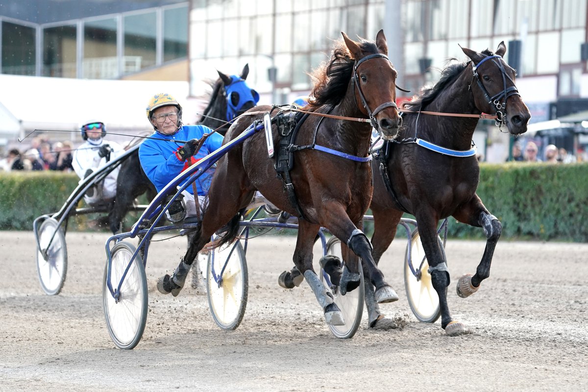 BerlinRennbahn's tweet image. Jean-Pierre Dubois gange facile avec Look of Love. Une pouliche de Ready Cash! @__Readycash @PMU_Hippique @LeTrot @Paris_Turf @travronden @Trav365N @trottocpassione #trotto #trot #trab #trabrennsport #horseracing #harnessracing