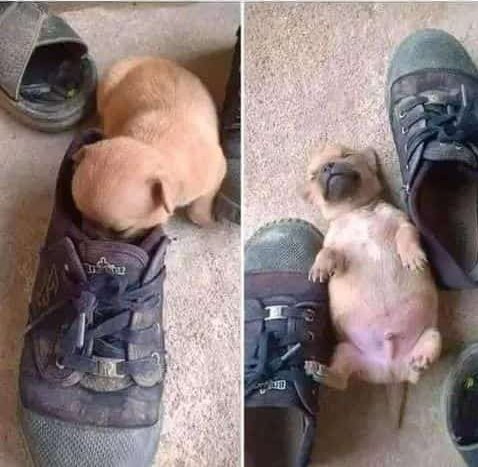 Mable_Mel's tweet photo. Is it this dangerous 🤣🤣 https://t.co/LxhpftTSA7