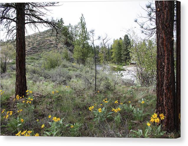 OmasteWitkowski's tweet photo. Spring Flowers

GET THEM: https://t.co/y9kzyII7DQ

p.s. Canvas #prints make fantastic #gifts and #Christmas is coming fast! With expected delays it's good to SHOP EARLY for #cards &amp; gifts.

#photography #GiftThemArt #buyintoart #shopearly #landscape #artforinteriors #balsamroot https://t.co/KKrjBEyTSH